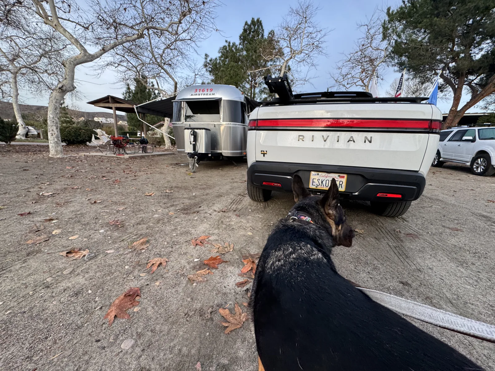 Wattreach, 20′ Airstream Caravel at Santee, CA, February 2025